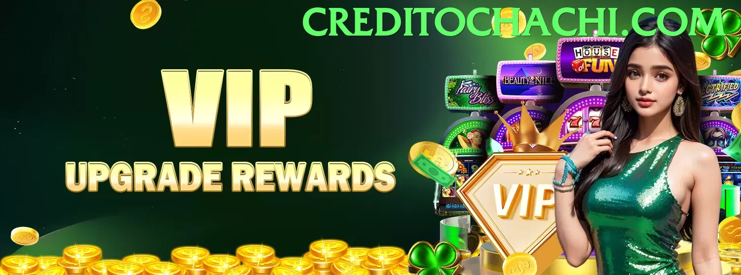 Interface da plataforma - pro