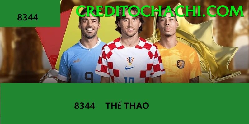 Cá Cược Thể Thao - vando88